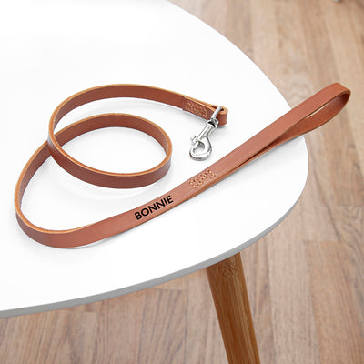 Personalised Classic Brown Leather Dog Lead by Really Cool Gifts Really Cool Gifts